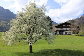 Kramsach